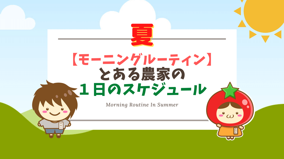 モーニングルーティン とある農家の一日のスケジュール 夏 とまとにおまかせ