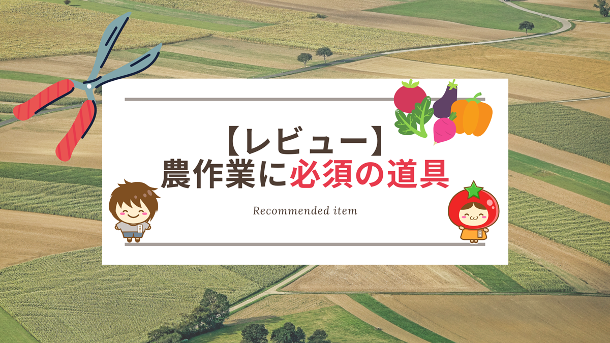 収穫バサミレビュー 農業研修初日に向けて何が必要 農作業道具編 とまとにおまかせ